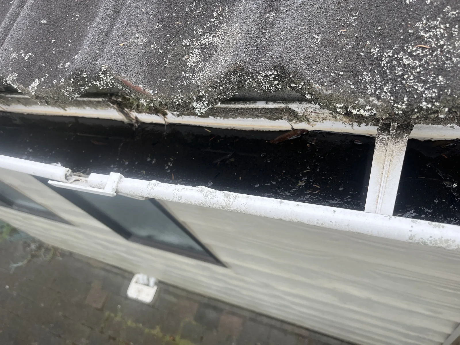Blocked gutter with debris observed during an Auckland building inspection