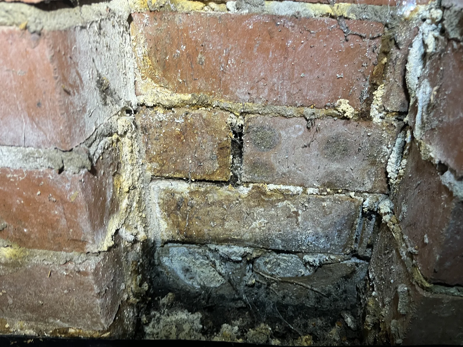 Poor Subfloor Ventilation observed during an Auckland building inspection