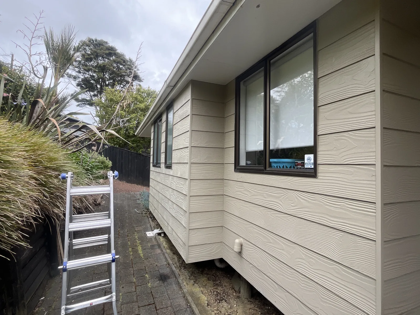 Blocked Gutters and Spouting observed during an Auckland building inspection