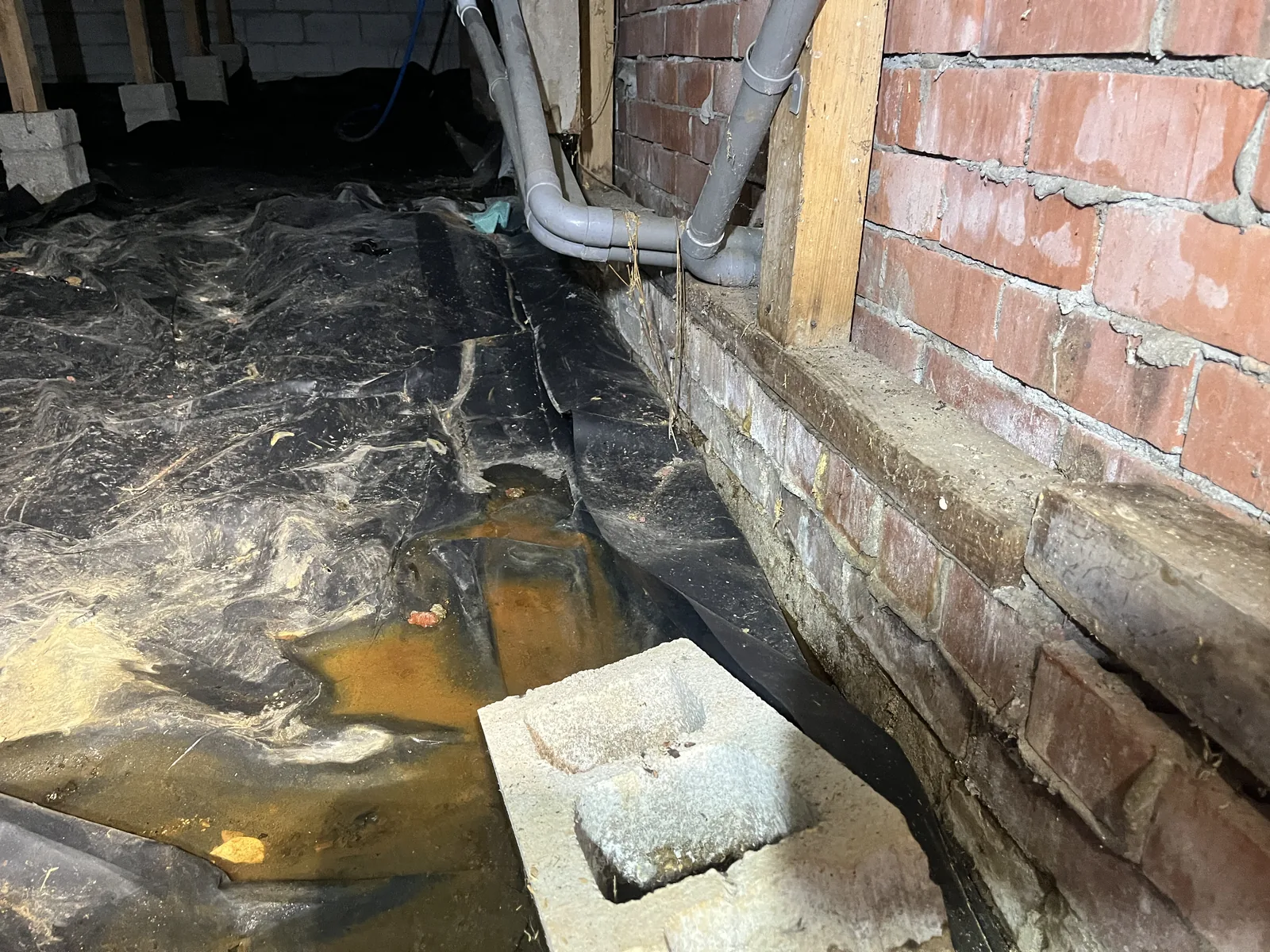 Poor Subfloor Ventilation observed during an Auckland building inspection